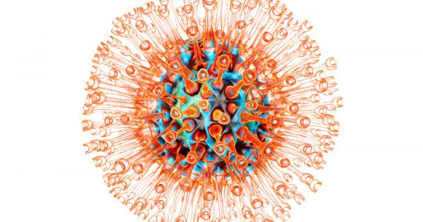 Съвременният щам на вируса който причинява херпес по човешкото лице