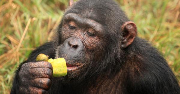 Всички знаем библейската история за Адам и Ева и забранения