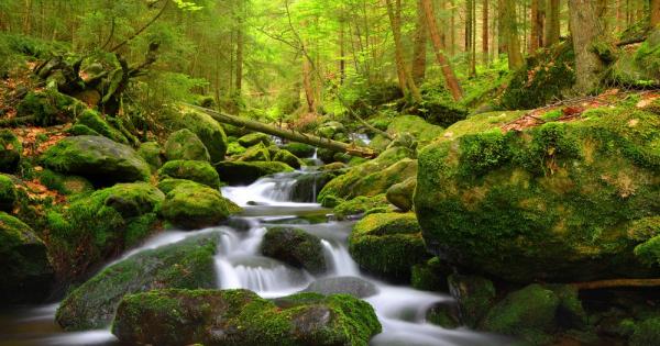 С нарастването на засушливите периоди екстремните метеорологични явления като жеги