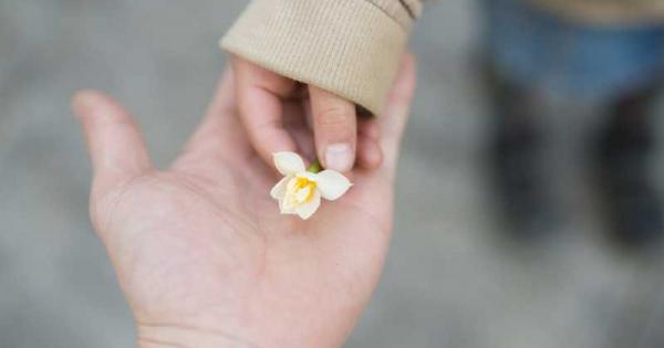 Богат татко беден татко е положението навсякъде по света по Робърт