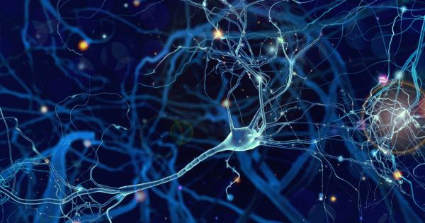 Учени работещи в сферата на неврологията показаха как мозъчни клетки