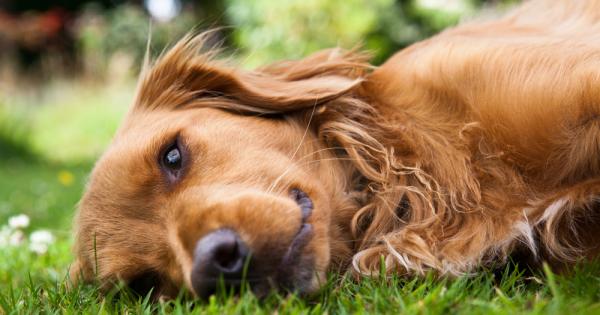 Знаем че хората с конкретни личностни характеристики проявяват по голяма склонност