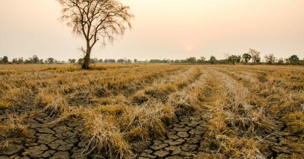 Цели региони на планетата ще станат непригодни за живот през