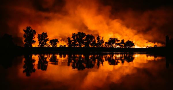 В статията е разгледана взаимовръзката климатични промени – пожари Посочва
