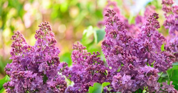 В глобален мащаб температурите през месец май 2021 г отново