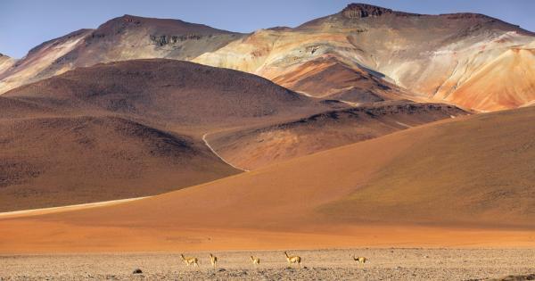 През 2023 г изследователите направиха открития за книгите за рекорди