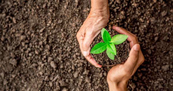 Истинската любов не е винаги цветя и рози не върви