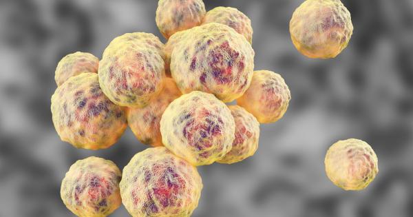 Докато светът се бори с пандемията от новия коронавирус експерти