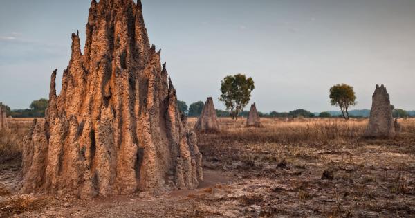 Международен екип от учени от Великобритания Белгия и Франция откри
