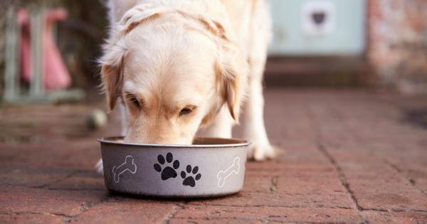 Проучване, проведено сред 600 здрави домашни кучета, установява силна връзка