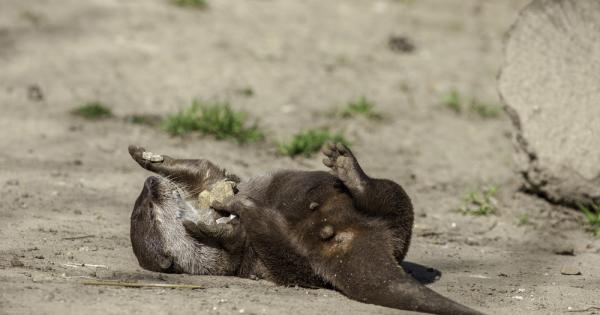 Ново изследване проведено от учени от Ексетърския университет във Великобритания