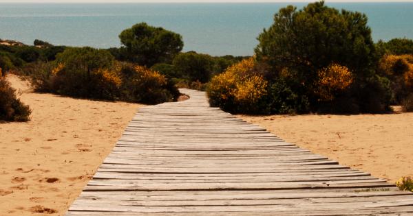 Доскоро националният парк Доняна в Испания беше определян като рай
