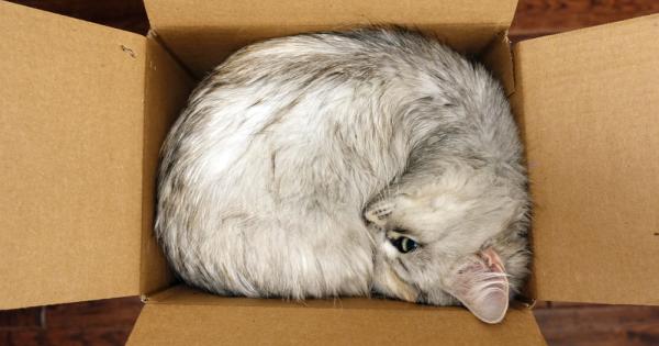 Унгарски учени от университета Йотвьош Лоранд в Будапеща са установили