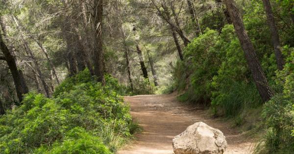 В древни времена един цар поставил един голям камък на