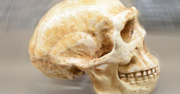 Нов анализ на геномите на най известните древни хора – неандерталците