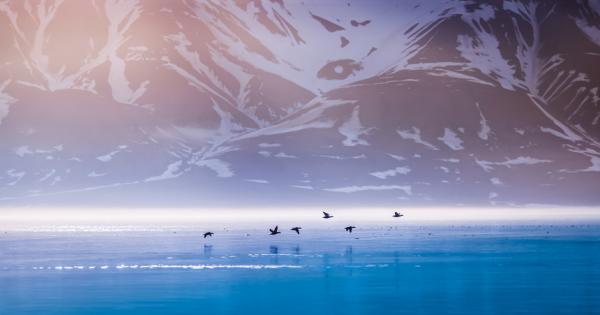 В събота 25 юли на Свалбард – арктическия архипелаг на Норвегия