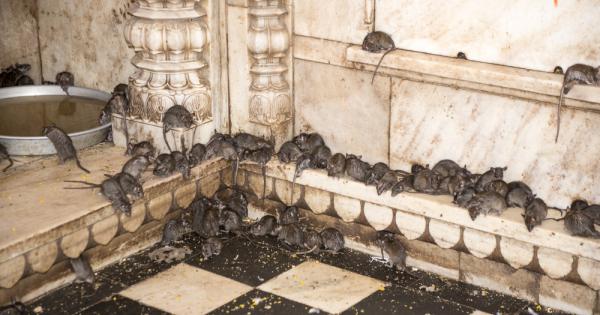 В момента правителствата по цял свят имат един основен проблем