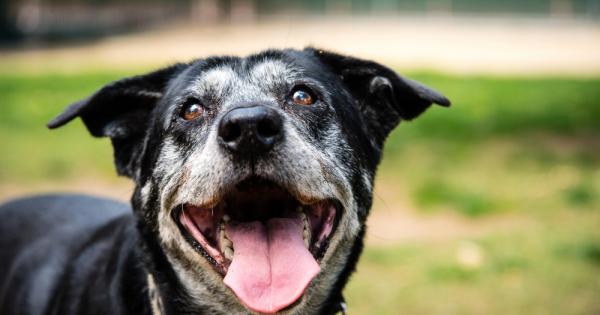 Всички знаем че ако искаме да определим на колко човешки
