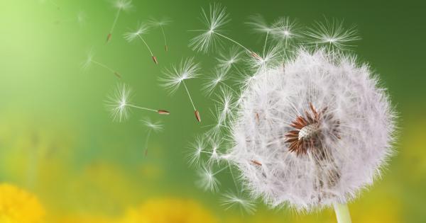 Идва време когато трябва да решиш дали да продължаваш да