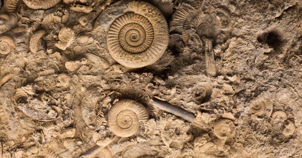 Ново проучване разкри че група мистериозни праисторически морски създания не