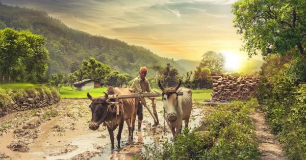В края на деветнадесетото столетие шотландският фермер Флеминг вървял към дома