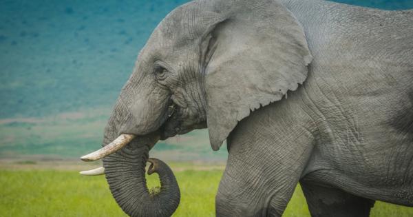 Публикацията е втора от поредицата за въздействието на климатичните промени