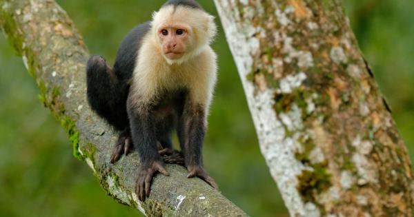 Mоже и да мислите че понятия като валута пари капитали