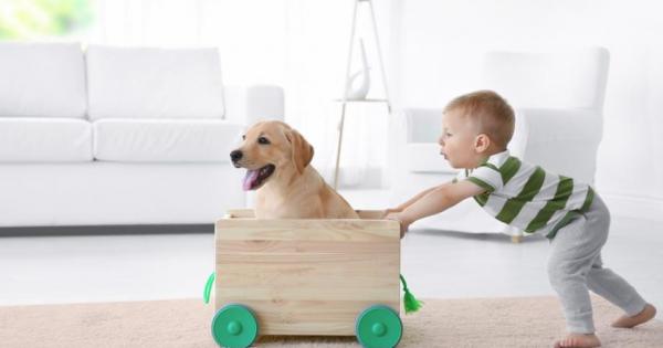 Искате да зарадвате детето си с малко сладко кученце но