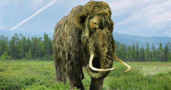 Последните вълнести мамути са измрели преди около 4000 години но