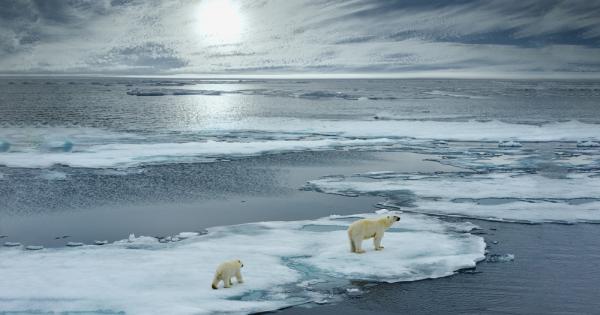 Aрктика губи морския си лед, а това навежда на мисълта,