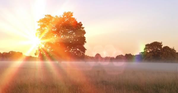 Декември 2021 г шестият най топъл декември за последните 43 години