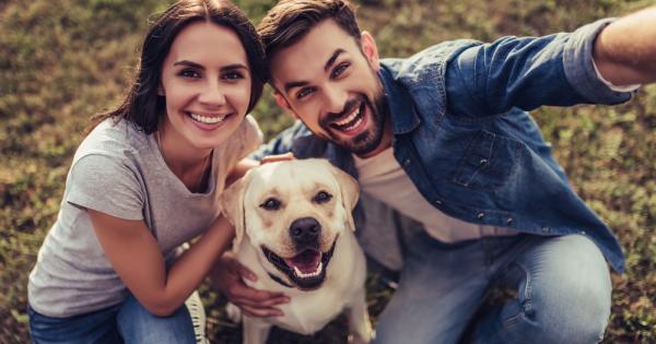 За съжаление мнозина възприемат кучетата си като големи играчки за