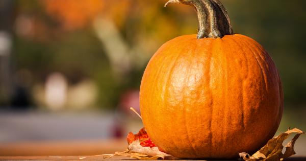 Един американски младеж отишъл в Германия за да следва философия Той