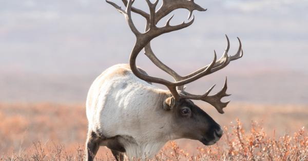 Опазването на биоразнообразието все повече разчита на коренното население съобщи