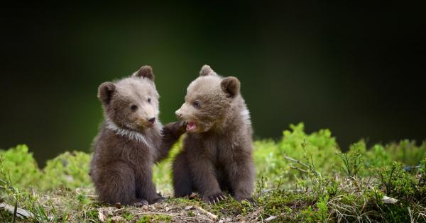 З училища станаха финалисти във второто издание на програмата The