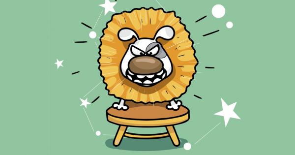 Как щяха да изглеждат зодиите ако бяха кучета Илюстраторката Мария Заволкина