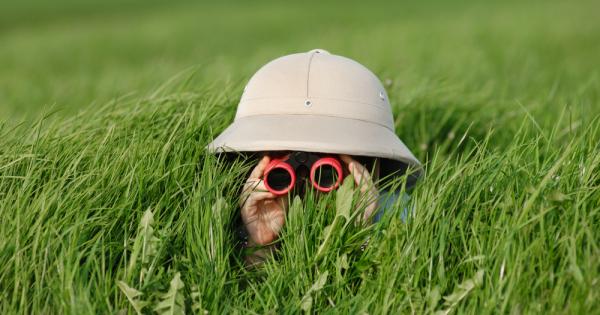 Необяснима находка в Коста Рика докато играе край един поток