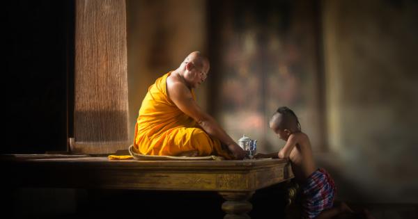 Какво се случи с котката ни Къде отиде тя след