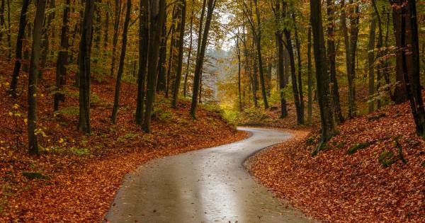 Септември 2022 г е бил най топъл в Гренландия с превишение