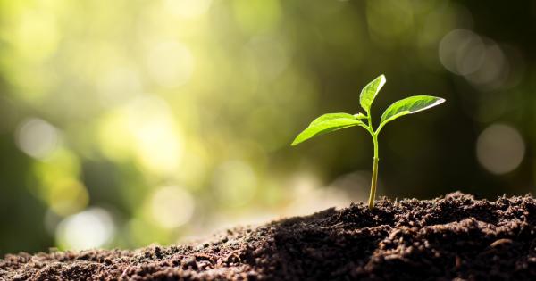 Освен източник на хранителни вещества и среда за развитие на