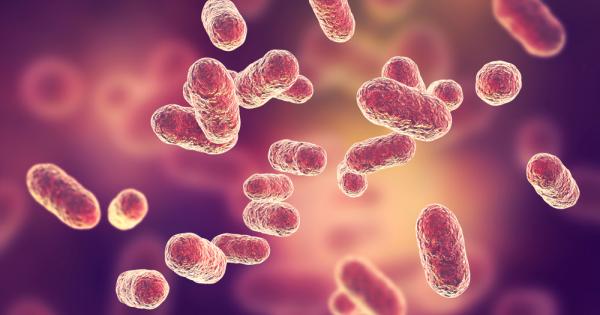 Бактериите са едноклетъчни организми с клетъчна стена често обвита със слузеста