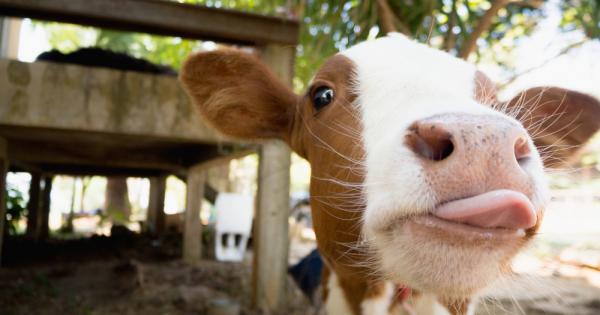 Становището на науката Животновъдството представлява около 18 от антропогенните емисии