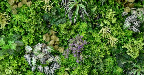 През 2016 а година проучване определи че 21 процента от идентифицираните