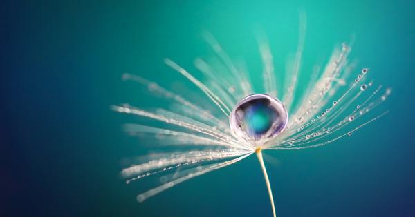 Веднъж попитали Боб Марли дали има идеална жена Той отговарил