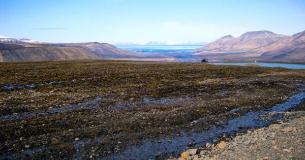Пермафростът постоянно замръзнали почвени и подпочвени води е феномен характерен