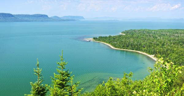Големите езера в Северна Америка претърпяха много през последния век