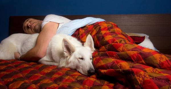 Признайте си с ръка на сърцето Позволявате ли на вашата