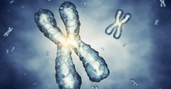 През 2003 а бе постигнат истински пробив – за първи път