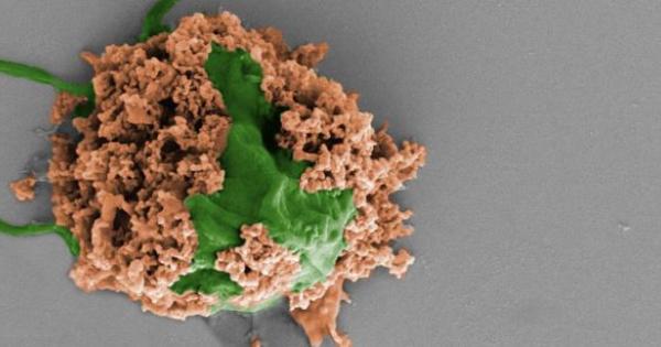 Наноинженери от Калифорнийския университет в Сан Диего САЩ са разработили