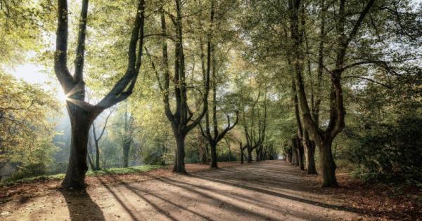 От бърза мода до консумация на червено месо много хора